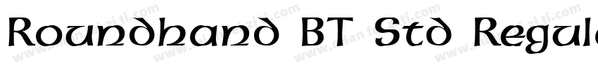 Roundhand BT Std Regular字体转换